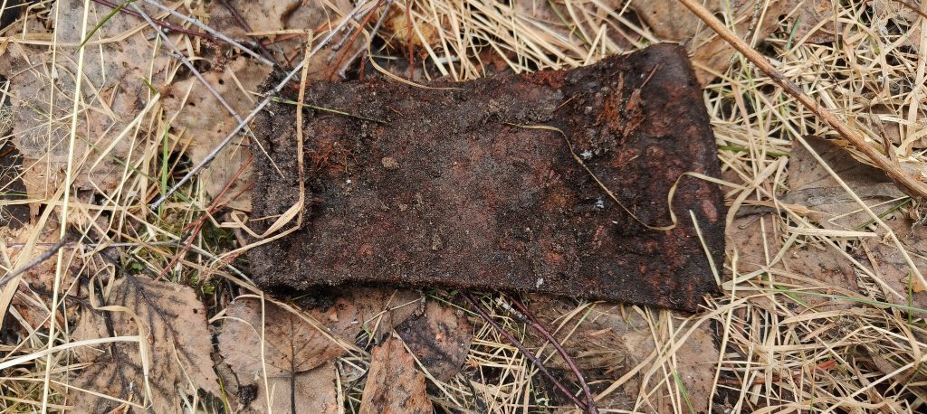 Aarteenetsinnän kausi avattu